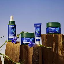 Blue Gentian & Edelweiss