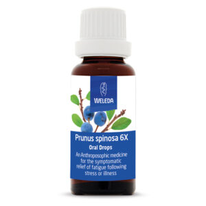 Prunus spinosa 6X 25ml