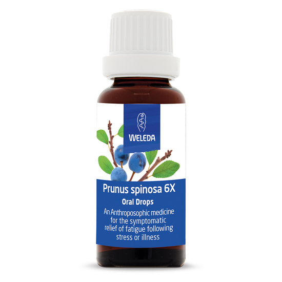 Prunus spinosa 6X 25ml